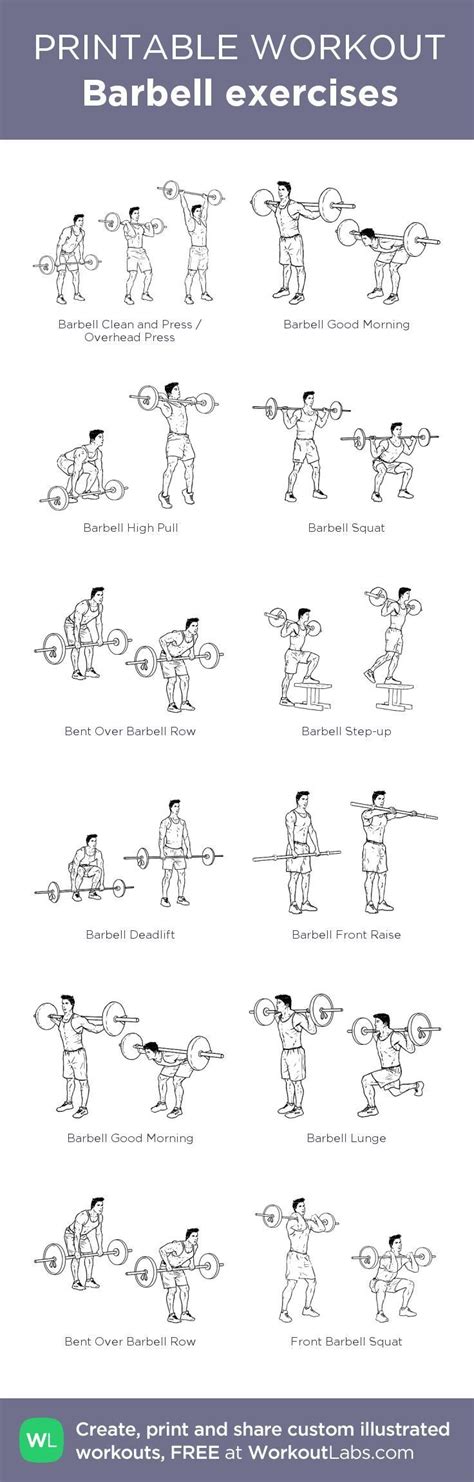 BARBELL WORKOUT EXERCISE POSTER LAMINATED Home Gym Weight Lifting Chart ...