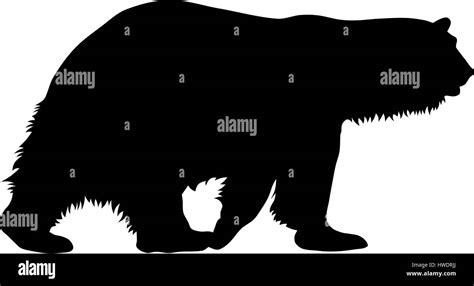 Vector illustration of polar bear silhouette Stock Vector Image & Art - Alamy