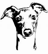 Whippet Clipart Greyhound Clip Outline Coloring Dog Greyhounds Line  sketch template