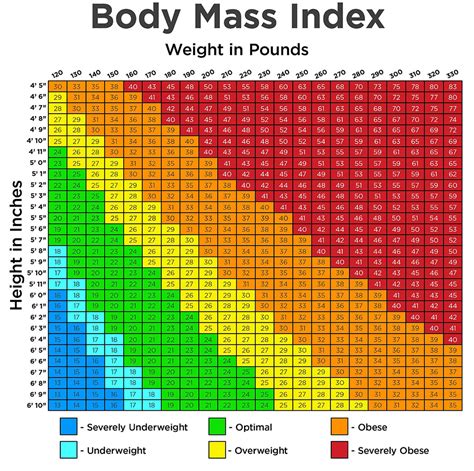 Printable Bmi Chart - prntbl.concejomunicipaldechinu.gov.co