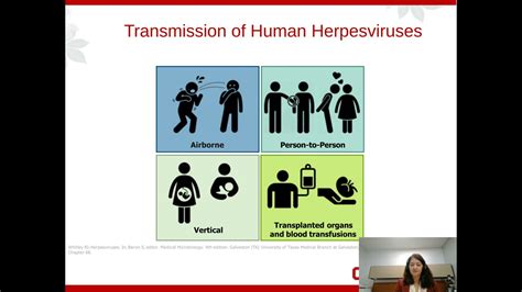 Varicella-Zoster Virus (VZV):One Pathogen with Multiple Clinical Manifestations - YouTube