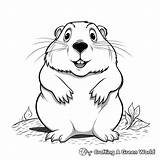 Gopher Coloring Pages  Free & Printable sketch template