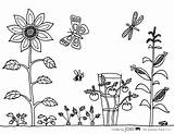 Simple Garden Coloring Pages sketch template