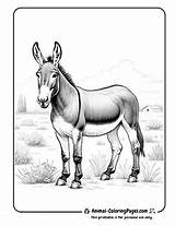 13 Mule Coloring Pages  Free Printable 🐴 Animal sketch template