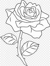 Bold Line Coloring Pages Printable sketch template