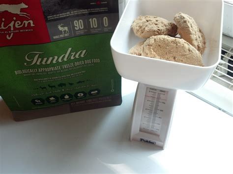 Reactive Champion: Review: Orijen Tundra Freeze-Dried Dog Food (Courtesy of Chewy.com!)