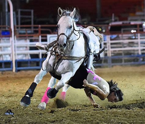 63 best Circus Horses and Trick Riding images on Pinterest | Vaulting ...