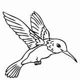 Simple Hummingbird Coloring Pages sketch template