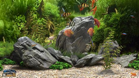 Dream Aquarium ★ 2K Screensaver ★ 10 FishTanks ★ WQHD 60fps ★ Aquarium Screensaver, Game ...