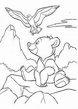 Kids N Funcom  52 coloring Pages Of Brother Bear sketch template