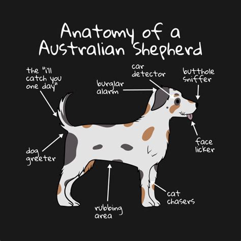 Dog Anatomy Australian Shepherd - Australian Shepherd - Long Sleeve T-Shirt | TeePublic