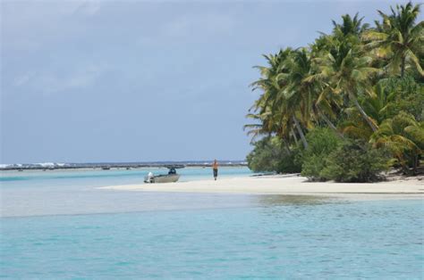 Best Time to Visit Cook Islands (Climate Chart and Table)