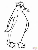 King Penguin Coloring Page At GetColoringscom  Free Printable sketch template