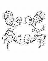 Crab Coloring Cute Pages Colouring Hermit Drawing Kids Cartoon  sketch template