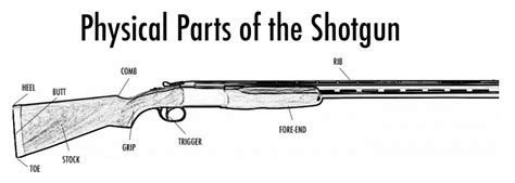 Gun Fitting Guide: How to Fit a Shotgun to Yourself | The Yorkshire Gent