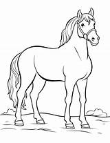 50 Horse Coloring Pages Free Printable Sheets  coloring sketch template