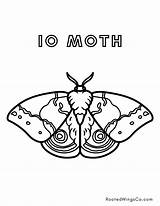 Free Moth Coloring Pages  Rooted Wings Co sketch template
