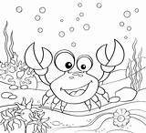 Free CRAB Coloring Pages For Download Printable PDF sketch template