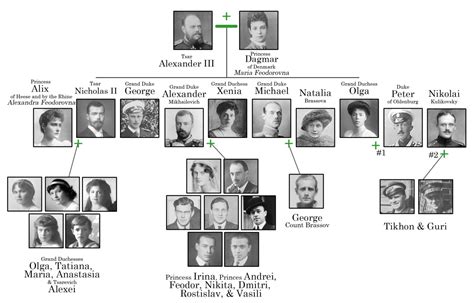 A Guide to the Last Imperial Family of Russia — Connections: The Family ...