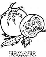 Tomato For Coloring sketch template