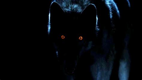 Pin by Kevin Kennedy on Orange and Blue | Werewolf aesthetic, Real ...