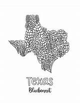 Texas Blue Bonnet coloring Sheet By Mrslymancreativecounseling  TPT sketch template