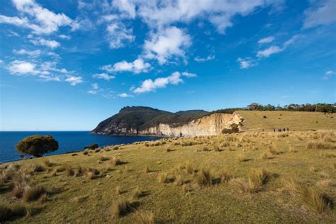 The Ultimate Guide to Visiting Maria Island, Tasmania | Happiest Outdoors