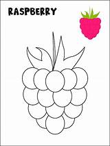 Colorful Raspberry Coloring Page sketch template
