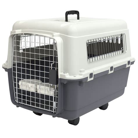 SportPet Designs Plastic Kennels Rolling Plastic Wire Door Travel Dog Crate - Medium: Amazon.co ...