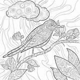 Premium Vector  Coloring Pages bird Wild Flying Animal In sitting On sketch template