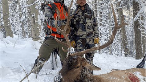 Colorado Elk Hunts - High Mountain Hunts