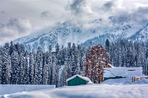 Wallpaper : mountains, snow, Alps, Himalayas, Freezing, Kashmir, tree, weather, season, piste ...