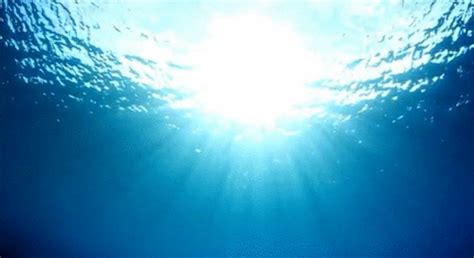 underwater sunlight gif | WiffleGif