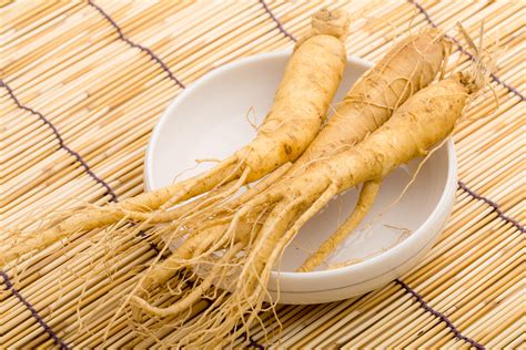 Korean Panax Ginseng: Root of Life (Top 13 Benefits)