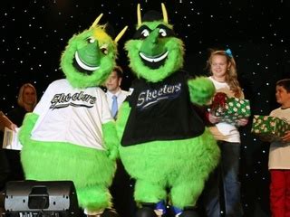 Making mosquitoes lovable mascots? Sugar Land's new minor league ba... - CultureMap Houston