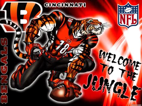 🔥 [71+] Cincinnati Bengals Wallpapers | WallpaperSafari