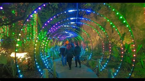 Christmas Lights At The Houston Zoo. - YouTube