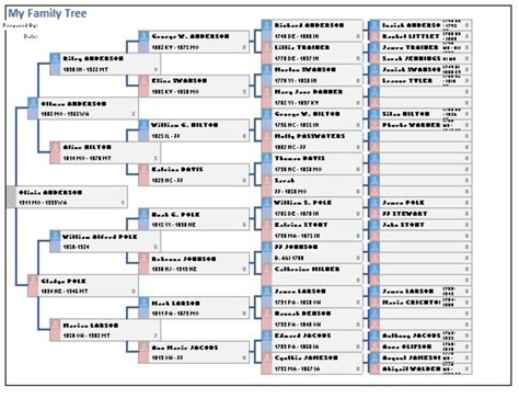 The Best Free Family Tree Templates for Microsoft Word and Excel (2022)