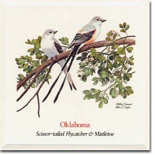 Oklahoma Native Plants, State Flower & State Bird | American Meadows