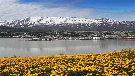 Akureyri Town : North Iceland : Travel Guide : Nordic Visitor