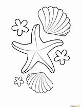 Printable Starfish Coloring Pages sketch template