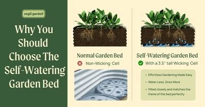 Introducing the Self-Watering Garden Bed for Effortless Gardening – decor essential