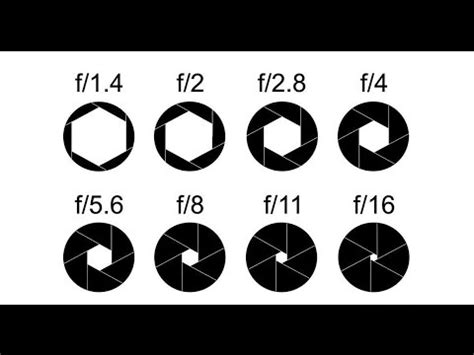 Beginner DSLR Photography basics: Aperture and depth of field guide ...