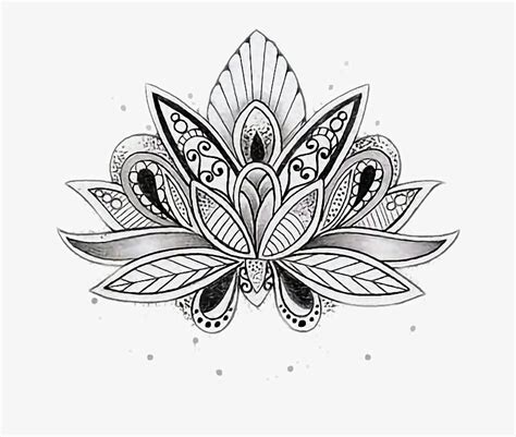 Mandalas Mandala Dibujo Tattoo Tato - Lotus Mandala Coloring Pages PNG ...