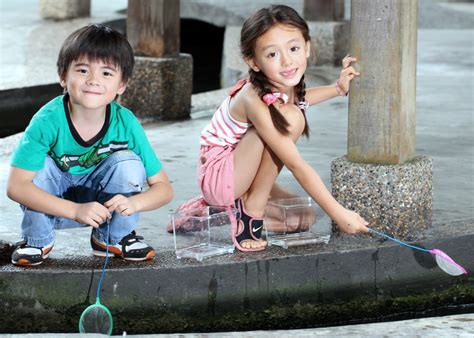 Where to go longkang fishing in Singapore | HoneyKids Asia