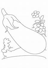 Coloring Page Of Eggplant Pages sketch template