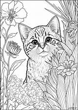 Coloring Pages sketch template