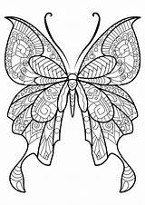Butterfly coloring For Kids  Coloring Pages sketch template
