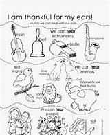 Human Ear Anatomy Coloring Pages Free Printable sketch template