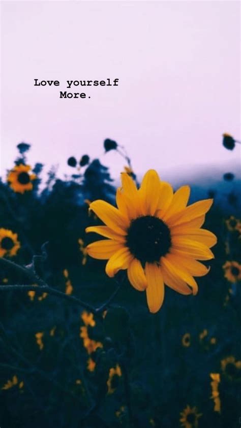 Aesthetic Sunflower Wallpapers For Chromebook : Tell us the truth, can you spend even a day ...